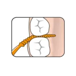 TePe Easypick bâtonnets interdentaires par 36