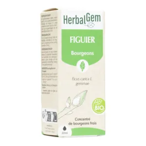 Gemmothérapie Herbalgem Extrait de bourgeon de figuier Bio