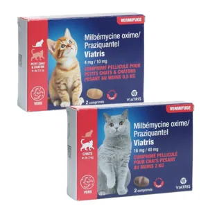 Vermifuge chat milbémycine praziquantel Viatris