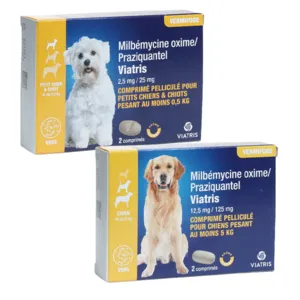 Comprimé Vermifuge chien Milbémycine Praziquantel Viatris