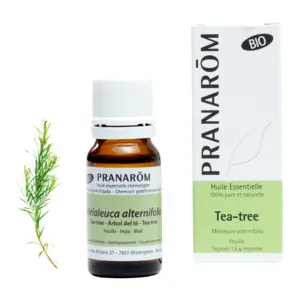 Pranarom huile essentielle arbre à thé bio