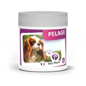 Pet Phos chien comprimés pour le pelage