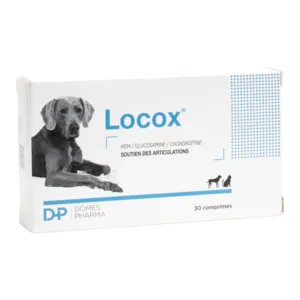 Locox Articulations chats et chiens