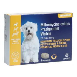 Milbémycine Praziquantel Viatris vermifuge chien