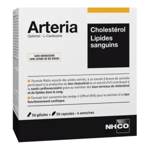 NHCO Arteria Cholestérol Lipides sanguins