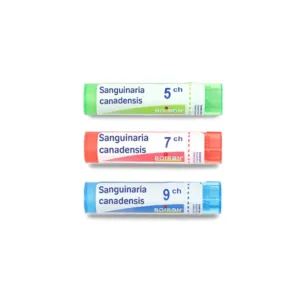Sanguinaria canadensis granules multidoses Boiron