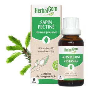 Extrait Herbalgem de bourgeons Sapin pectiné bio