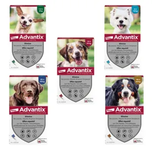 Pipettes anti puces Advantix chien Spot on