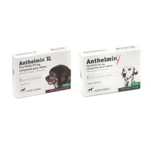 Anthelmin chien en comprimés
