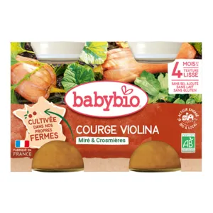 Courge violina bio en petits pots Babybio