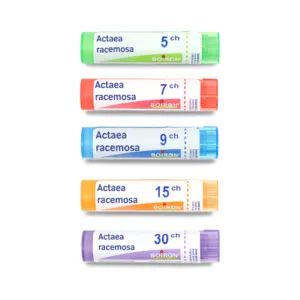 Actaea racemosa granules homéopathiques