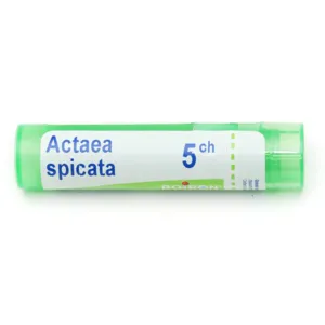 Actaea spicata 5CH granules homeopathiques