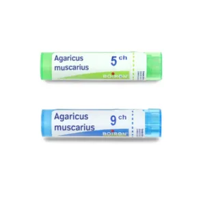 Agaricus muscarius granules multidoses