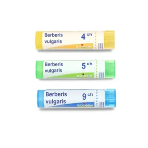 Médicament homéopathique Boiron Berberis vulgaris en granules