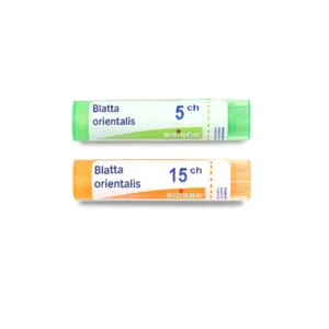 Blatta orientalis granules