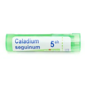Boiron Caladium seguinum granules