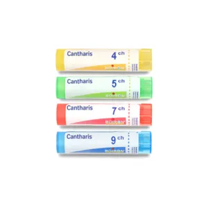 Cantharis granules du laboratoire Boiron