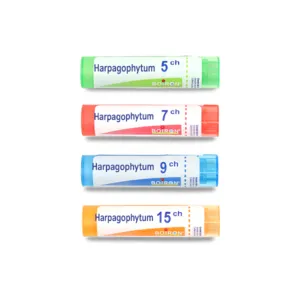 Harpagophytum granules multidoses Boiron