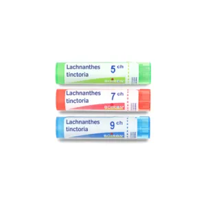 Boiron Lachnanthes tinctoria granules multiples