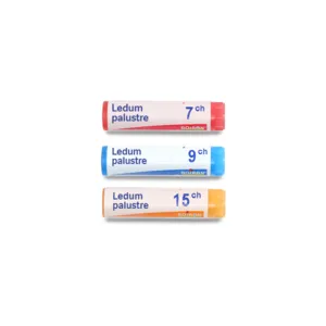 Boiron Ledum palustre unidose