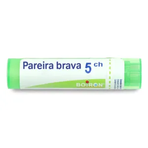 Granules homéopathiques Boiron Pareira brava 5CH