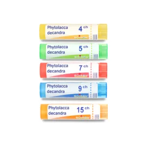 Phytolacca decandra granules homéopathiques Boiron
