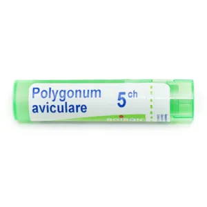 Polygonum aviculare granules homéopathiques Boiron