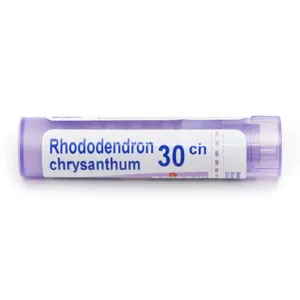 Rhododendron Chrysanthum 30CH granules homéopathiques Boiron
