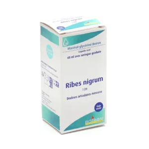 Boiron Ribes Nigrum macérat glycériné de bourgeons 1 DH