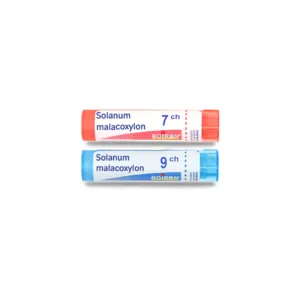 Solanum malacoxylon granules homéopathiques Boiron