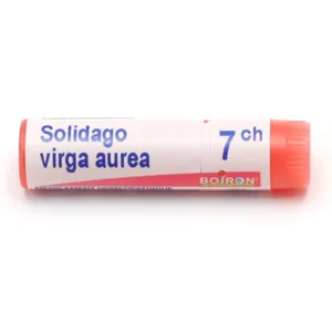 Solidago Virga Aurea 7CH dose homéopathique Boiron
