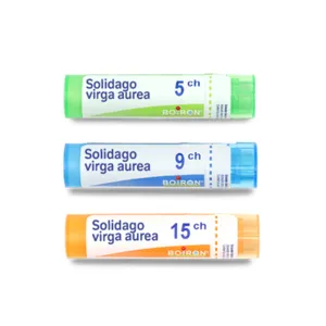Solidago virga aurea granules homéopathiques Boiron