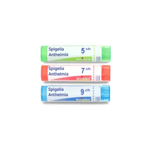Spigelia Anthelmia granules homéopathiques Boiron