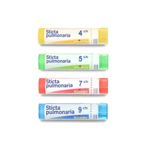 Boiron granule multidoses de Sticta pulmonaria