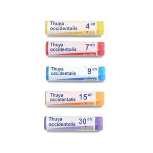 Thuya occidentalis dose homéopathique Boiron