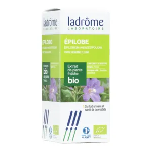 Ladrome bio extrait de plante fraîche epilobe