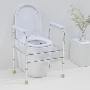 Cadre WC aluminium Adeo