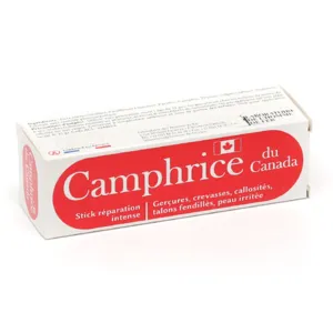 Camphrice du Canada contre les gerçures