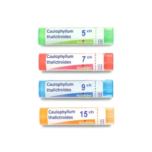 Caulophyllum thalictroides granules homéopathiques Boiron