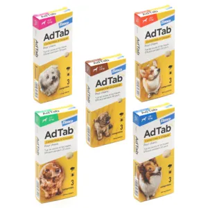 Comprimés antiparasitaires AdTab Elanco pour chien