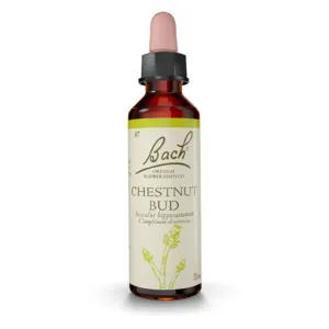 Élixir floral Chestnut bud n°7 Fleurs de Bach