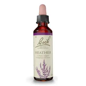 Élixir floral Heather n°14 Fleurs de Bach