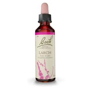 N°19 Larch Fleurs de Bach