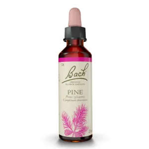 N°24 Fleurs de Bach Pine