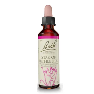 Star of Bethlehem N°29 Fleur de Bach