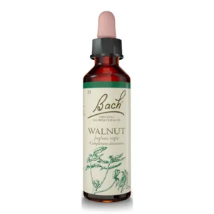 Élixir floral Walnut n°33 Fleurs de Bach