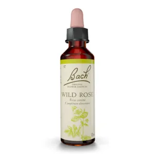 Essence de Wild rose n°37 pour Fleurs de Bach