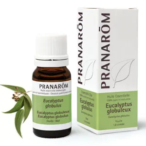 Huile essentielle Eucalyptus globulus Pranarom