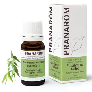 Huile essentielle Eucalyptus radié Pranarom