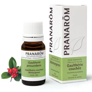 Pranarom huile essentielle Gaultherie couchée